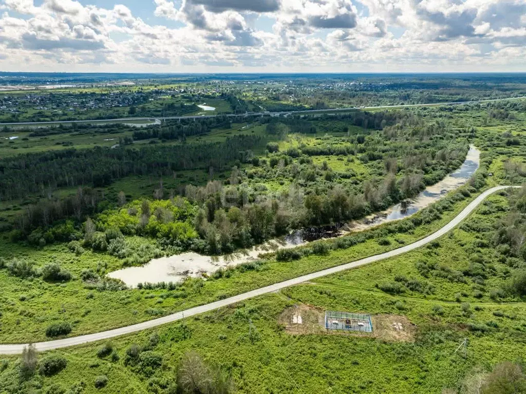 Участок в Новосибирская область, Коченевский район, Лесник СНТ ул. ... - Фото 1