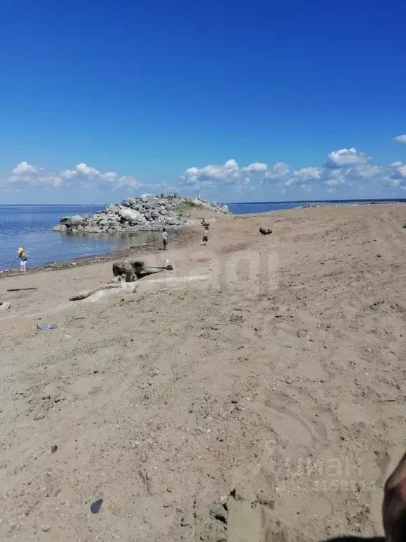 Участок в Новосибирская область, Искитимский район, Совхозный ... - Фото 1