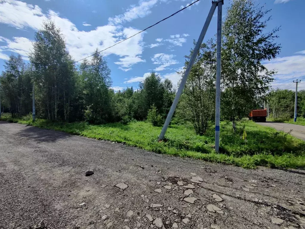 Участок в Московская область, Дмитровский городской округ, д. ... - Фото 1