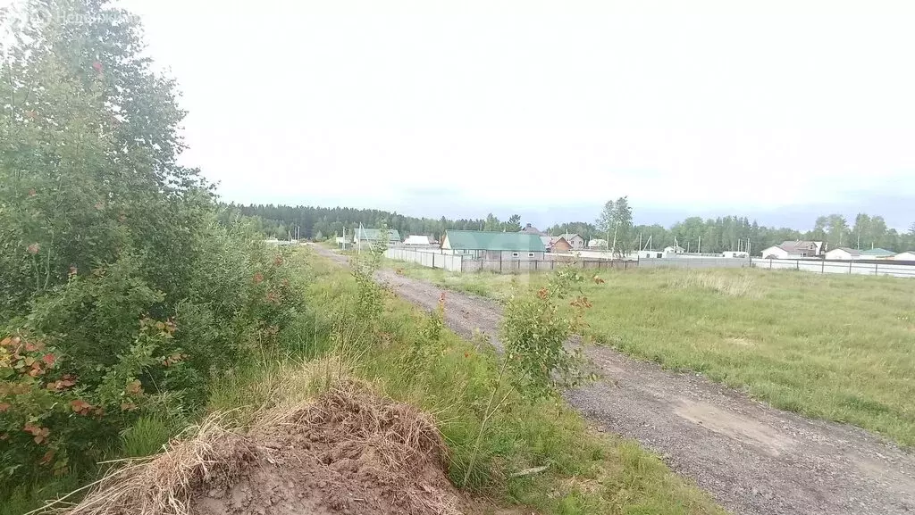 Участок в деревня Синицына, Новая улица (10 м) - Фото 2