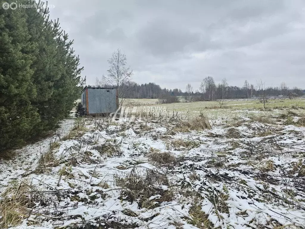 Участок в Рузский городской округ, деревня Филатово (17 м) - Фото 1