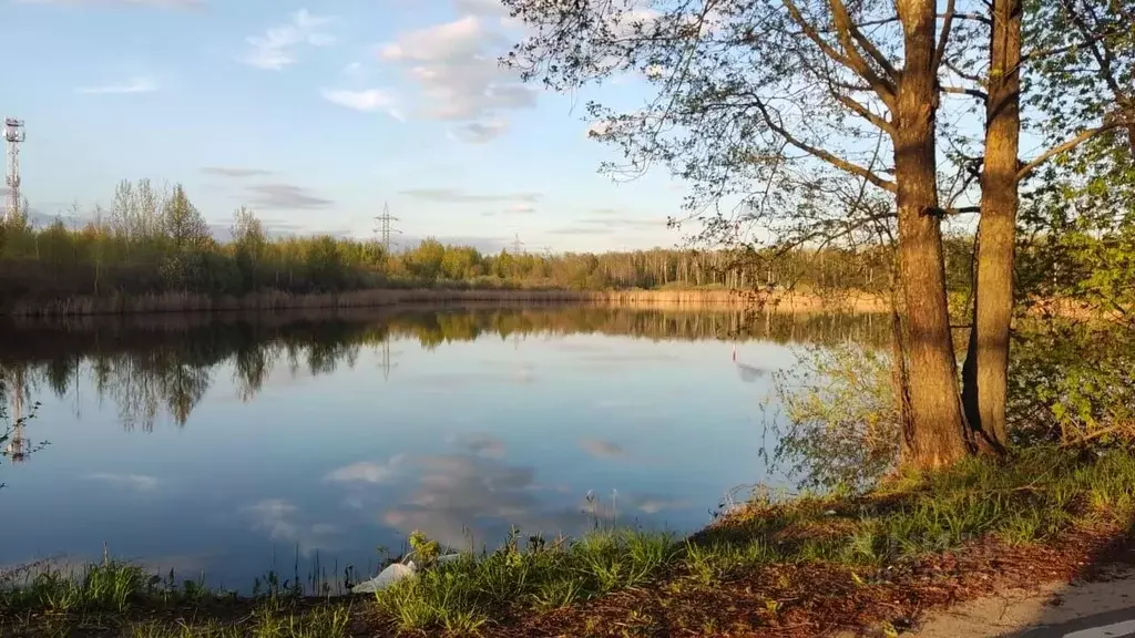 Участок в Московская область, Шаховская муниципальный округ, д. ... - Фото 2