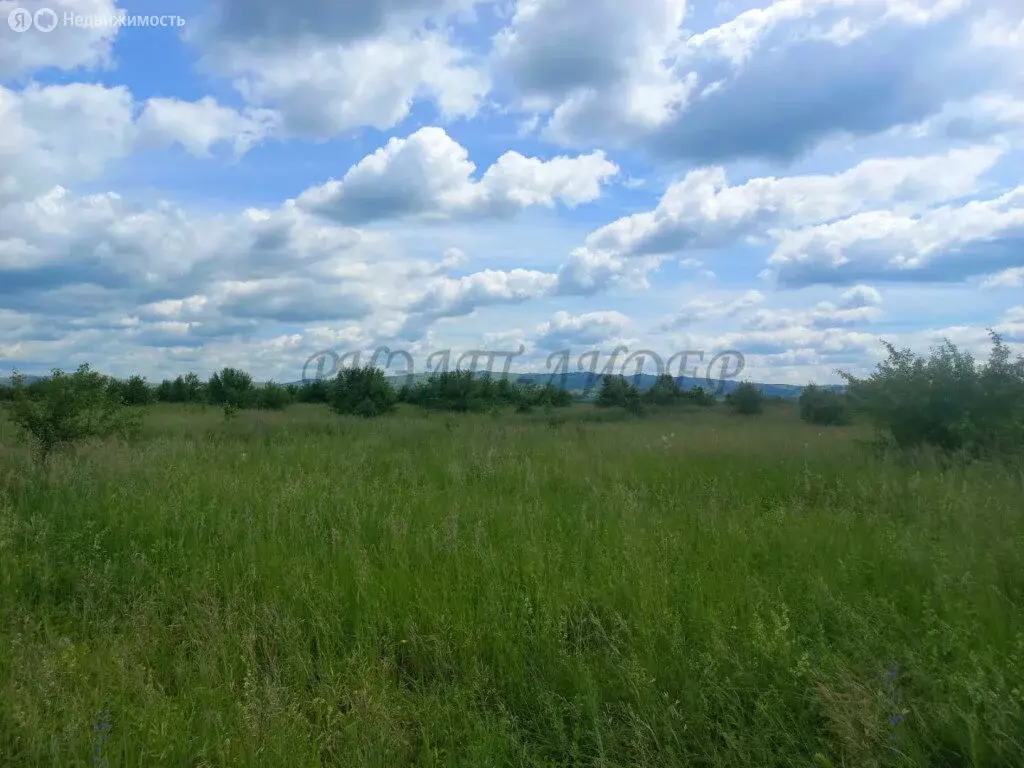 Участок в Майминский район, село Подгорное (10 м) - Фото 1