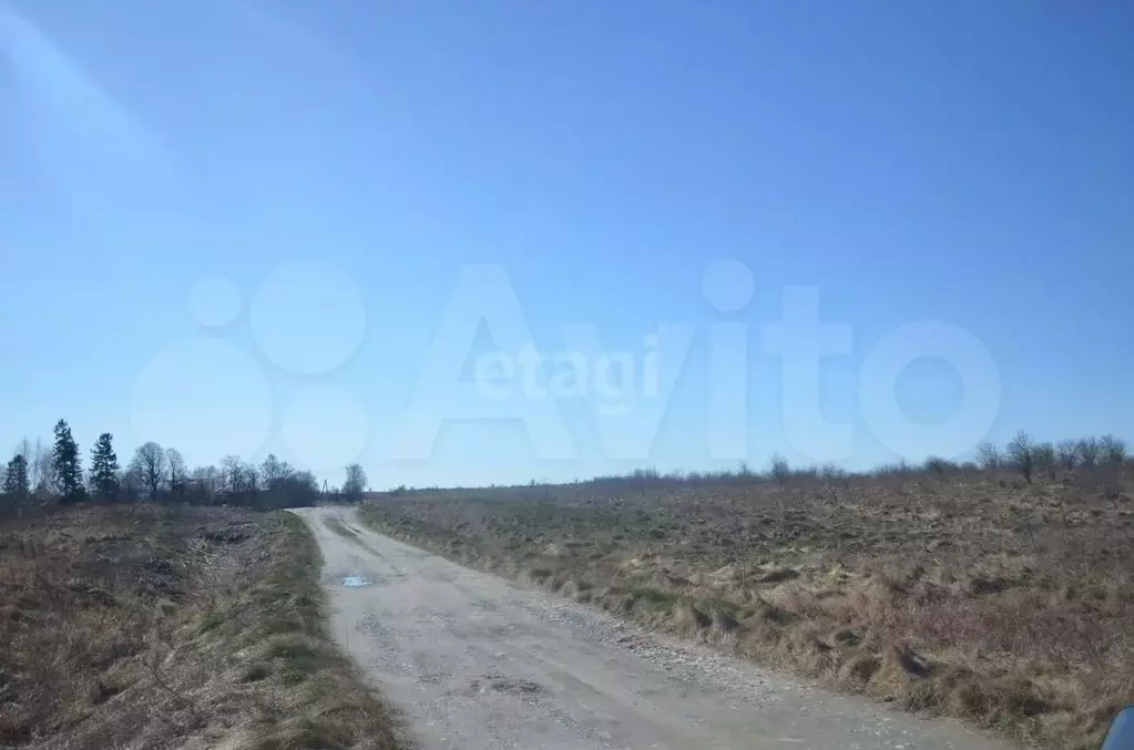 Участок 4,3 сот. (СНТ, ДНП) - Фото 1