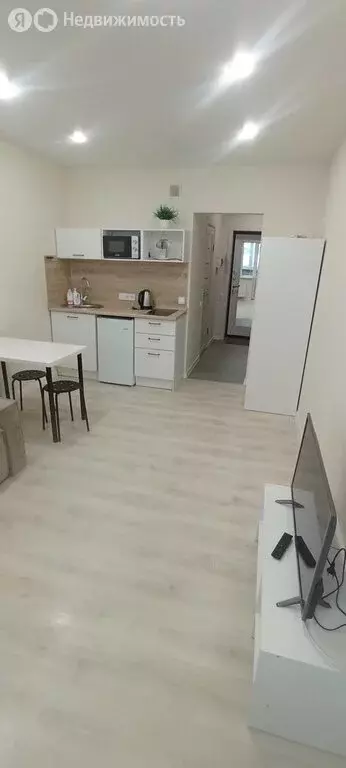 Квартира-студия: Владимир, улица Нижняя Дуброва, 47к3 (24 м) - Фото 1