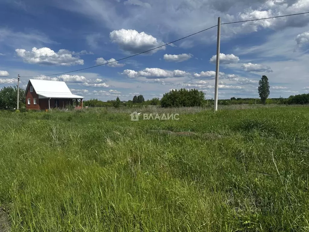 Участок в Пензенская область, с. Бессоновка ул. Школьная, 62 (10.0 ... - Фото 0