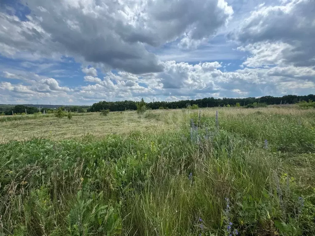 Участок в Курская область, Курск ул. Репина, 13 (10.0 сот.) - Фото 2