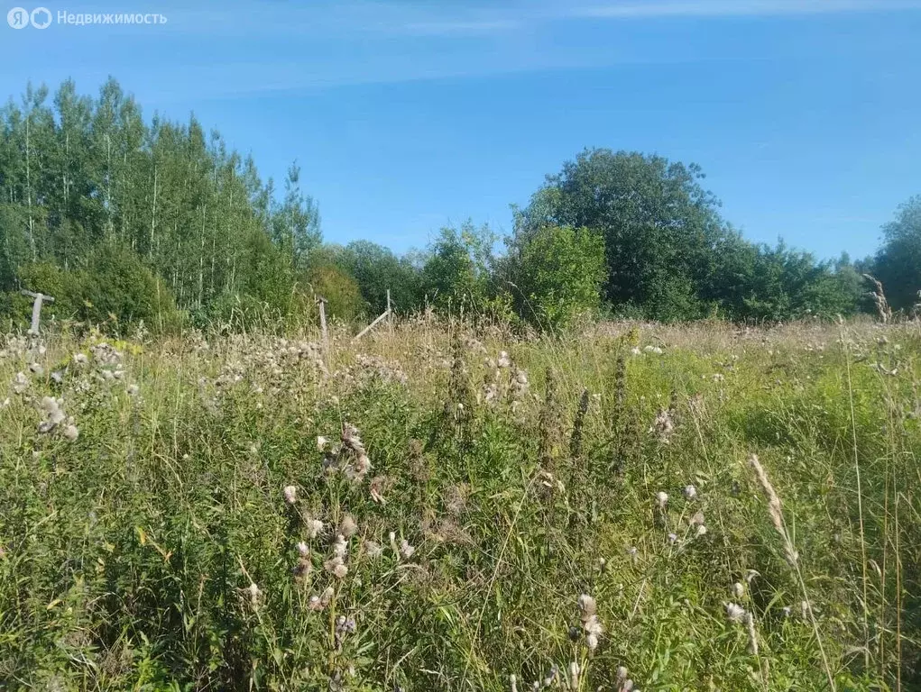 Участок в Вологодская область, Кирилловский муниципальный округ, ... - Фото 1