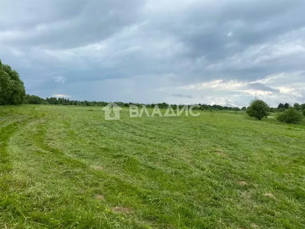 Участок в Московская область, Одинцовский городской округ, д. Торхово  ... - Фото 1