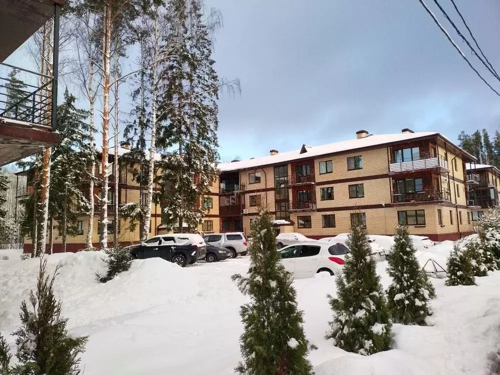 3-к кв. Ленинградская область, Всеволожский район, д. Юкки ул. ... - Фото 0