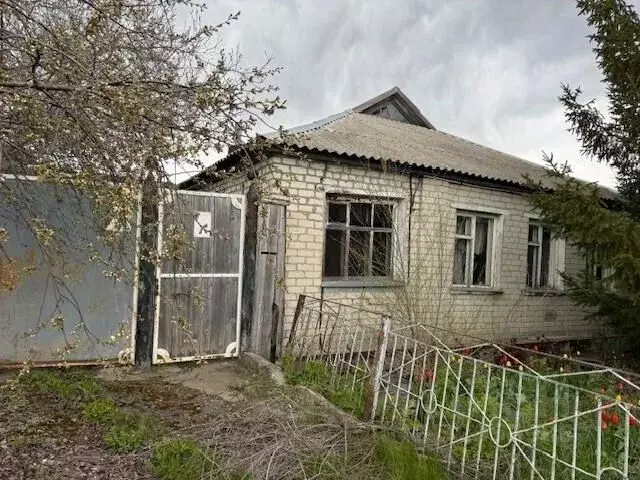 Участок в Белгородская область, Алексеевка Молодежная ул. (6.0 сот.) - Фото 1
