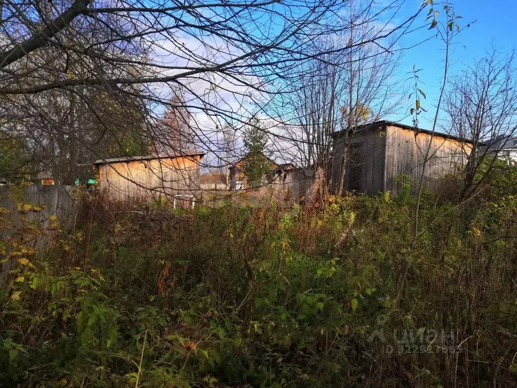 Участок в Архангельская область, Приморский муниципальный округ, д. ... - Фото 1