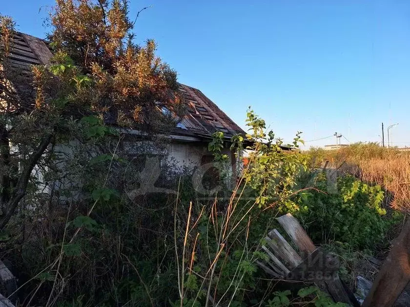 Участок в Тюменская область, Тюмень Энергия садовое товарищество, ул. ... - Фото 1