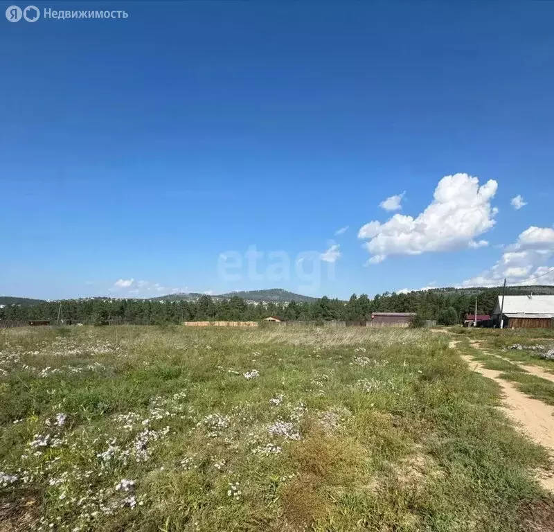 Участок в Тарбагатайский район, сельское поселение Саянтуйское, село ... - Фото 1