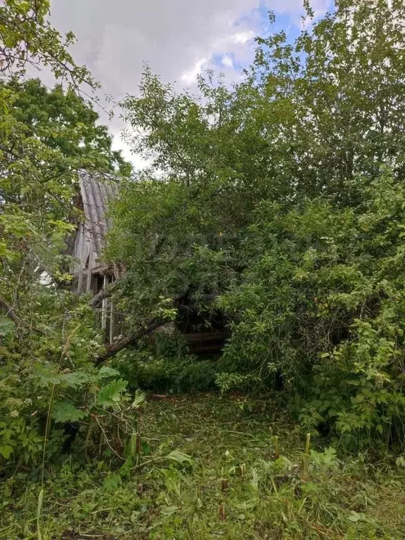 Дом в Новгородская область, Солецкий муниципальный округ, д. Дуброво ... - Фото 1