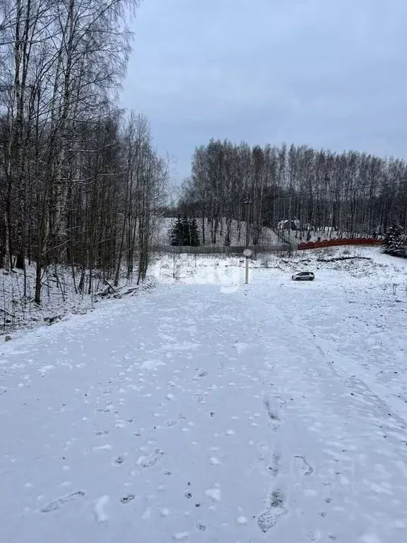 Участок в Ленинградская область, Всеволожский район, Колтушское ... - Фото 1