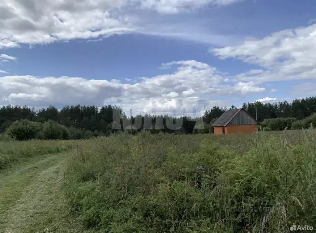 Участок в Вологодская область, Сокольский муниципальный округ, д. ... - Фото 2