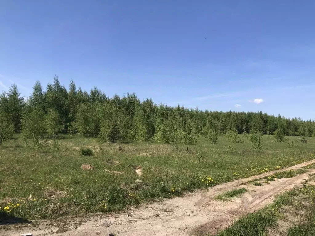 Участок в Нижегородская область, Богородский муниципальный округ М-7 ... - Фото 2