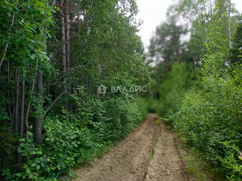 Участок в Бурятия, Баргузинский район, с. Максимиха  (980.0 сот.) - Фото 1