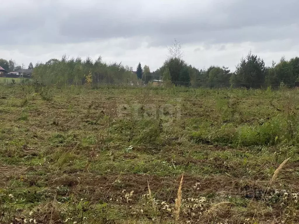 Участок в Калужская область, Боровский муниципальный округ, Кривское ... - Фото 2