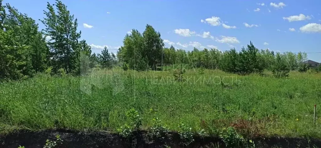 Участок в Тюменская область, Тюмень  (8.0 сот.) - Фото 1