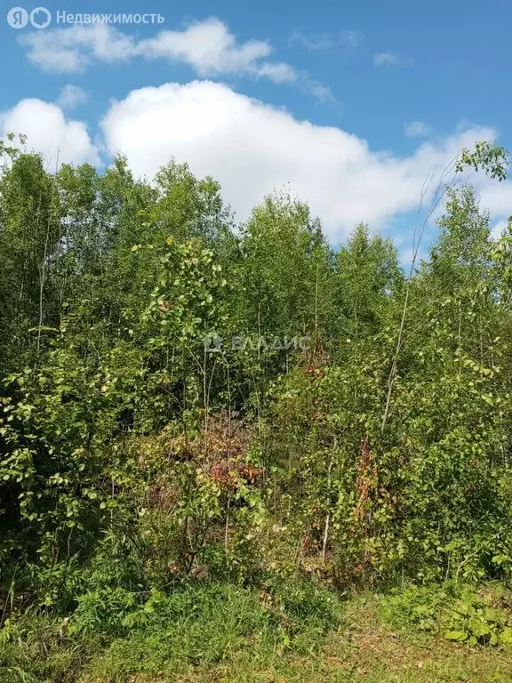 Участок в Выльгорт, СТ Речник (10 м) - Фото 1