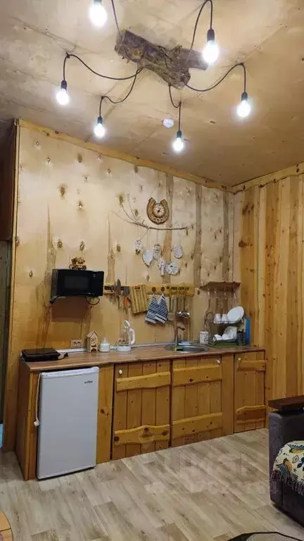 Дом в Алтай, Турочакский район, с. Иогач  (30 м) - Фото 2