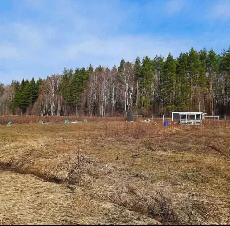 Участок в Нижегородская область, Богородский район, д. Шопово ул. ... - Фото 1