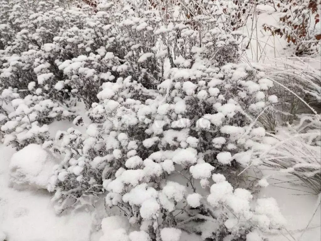 Участок в Ленинградская область, Ломоносовский район, Лопухинское ... - Фото 2
