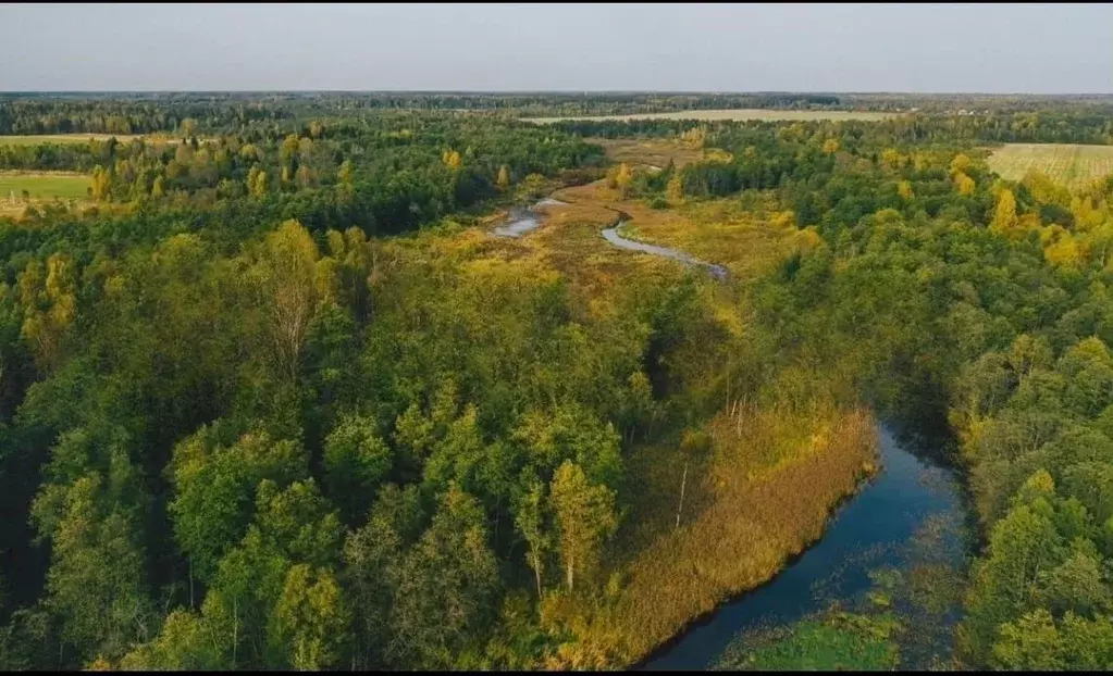 Участок в Тверская область, Калининский муниципальный округ, Некрасово ... - Фото 1