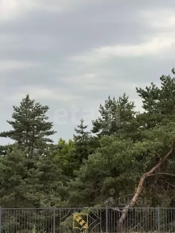 Участок в Курская область, Курский район, Шумаковский сельсовет, с. ... - Фото 0