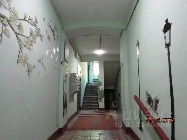 Комната Санкт-Петербург ул. Плуталова, 10 (12.0 м) - Фото 0