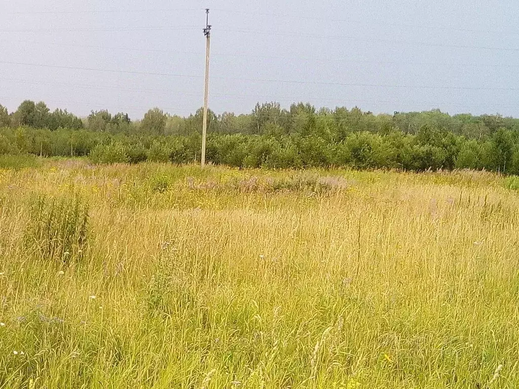 Участок в Томская область, Томский район, Зоркальцевское с/пос, д. ... - Фото 1