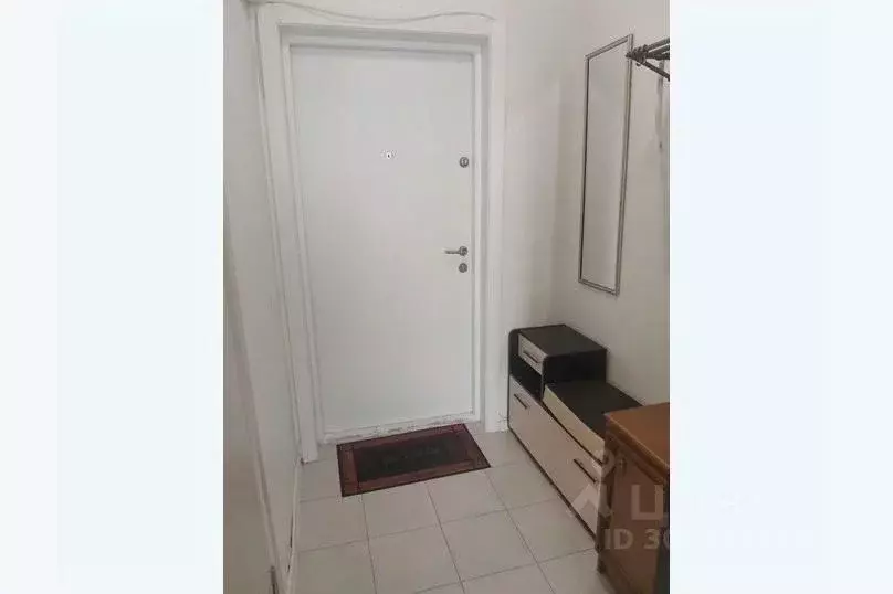 1-к кв. Московская область, Одинцово ул. Рябиновая, 1к1 (20.0 м) - Фото 2