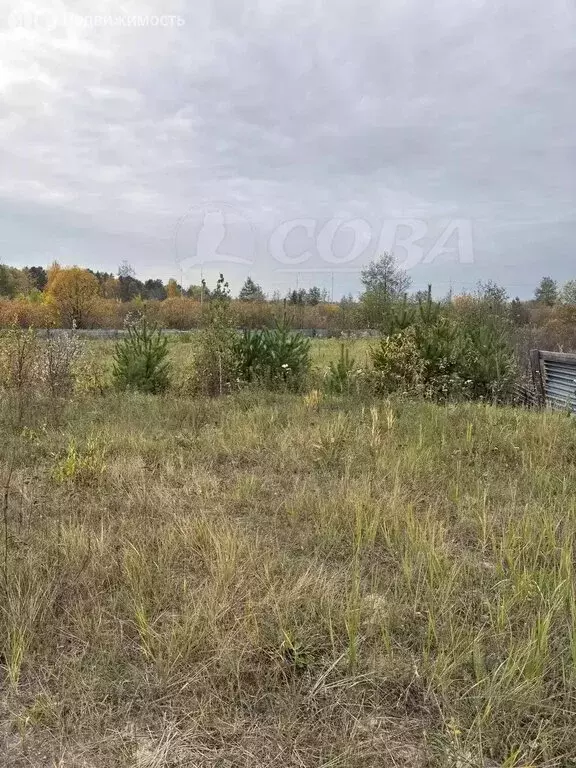 Участок в Тюменский муниципальный округ, село Богандинское (16.6 м) - Фото 1