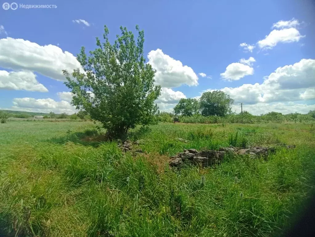Участок в Рождественская, Пролетарская улица, 30 (22 м) - Фото 0
