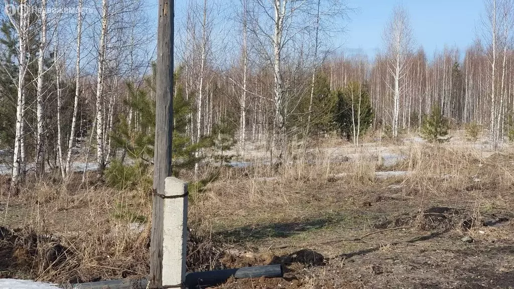 Участок в Кемеровский муниципальный округ, деревня Солонечная, ... - Фото 0