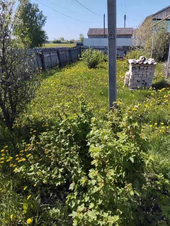 Участок в Мордовия, Дубенский район, с. Ардатово Советская ул., 56 ... - Фото 1