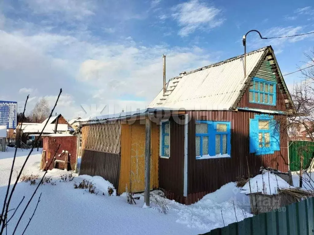 Участок в Новосибирская область, Новосибирский район, Толмачевский ... - Фото 0