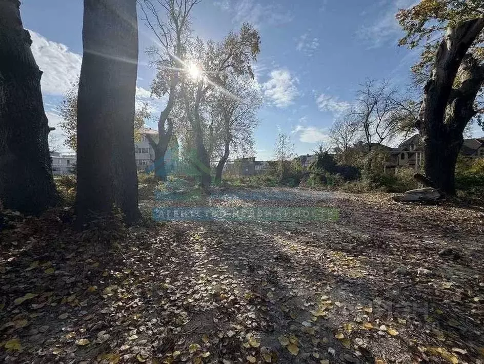 Участок в Краснодарский край, Новороссийск городской округ, с. Мысхако ... - Фото 2