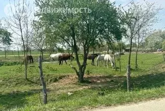 Участок в Тахтамукайский район, Афипсипское сельское поселение (25 м) - Фото 0