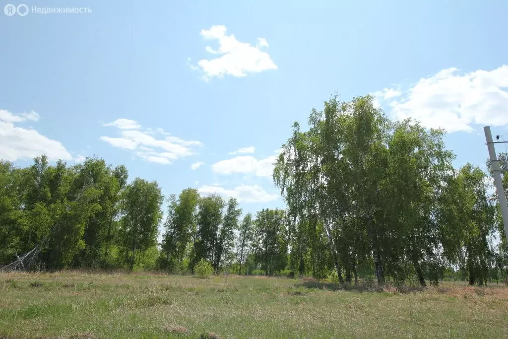 Участок в Новосибирская область, рабочий посёлок Коченёво, улица ... - Фото 1