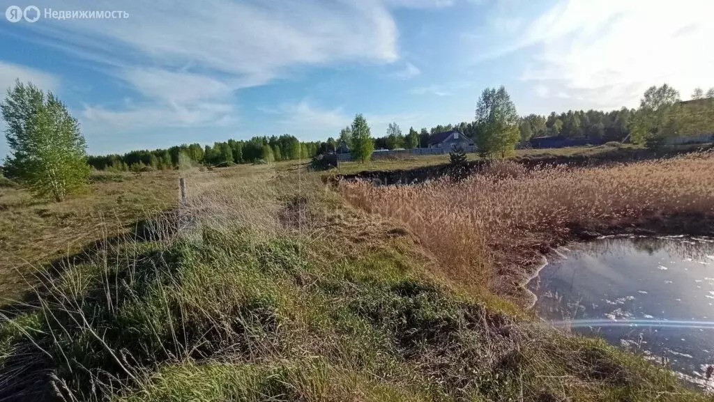 Участок в Тюменская область, Нижнетавдинский муниципальный округ, ... - Фото 1