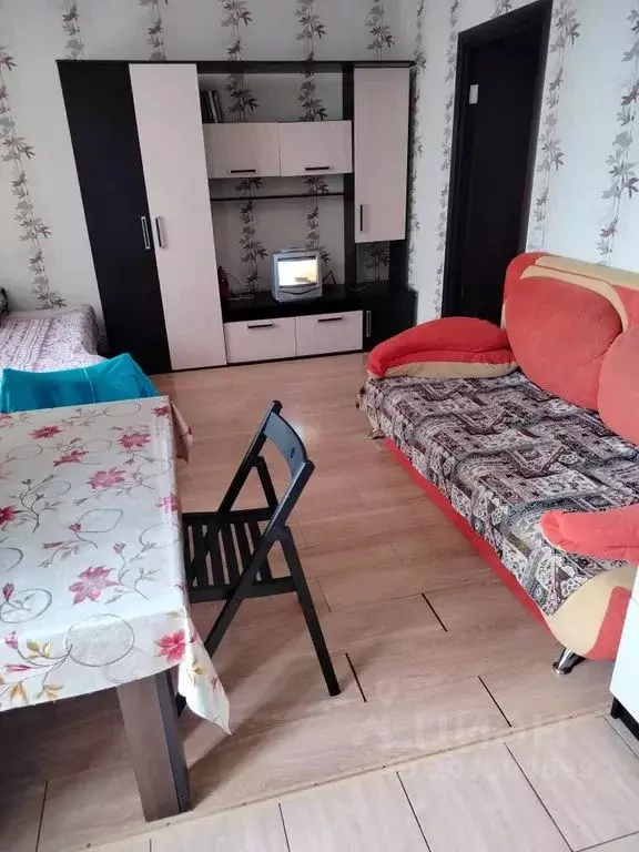 Студия Санкт-Петербург пос. Шушары, Первомайская ул., 5к1 (30.0 м) - Фото 0