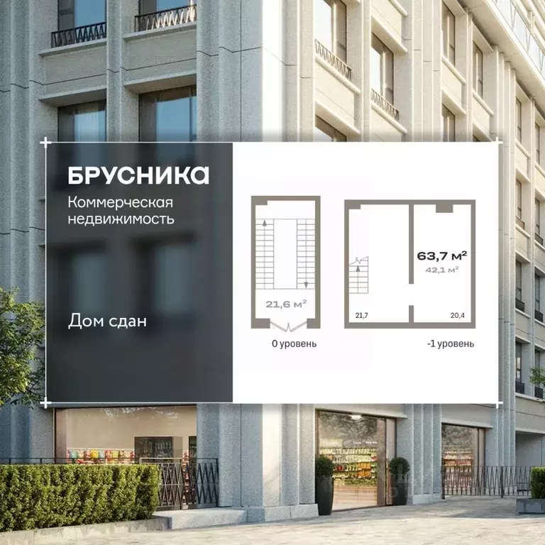 Помещение свободного назначения в Новосибирская область, Новосибирск ... - Фото 1