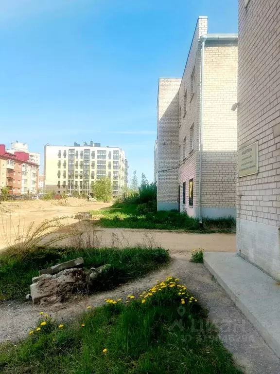 Помещение свободного назначения в Ярославская область, Ярославль ул. ... - Фото 1
