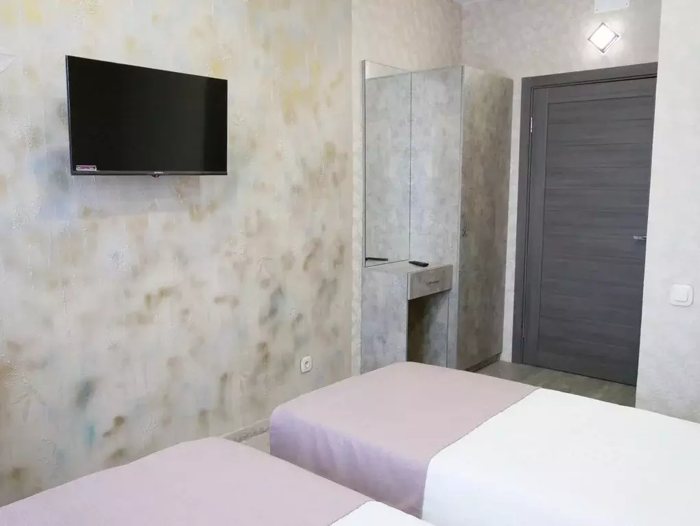 Комната Московская область, Егорьевск муниципальный округ, д. ... - Фото 2