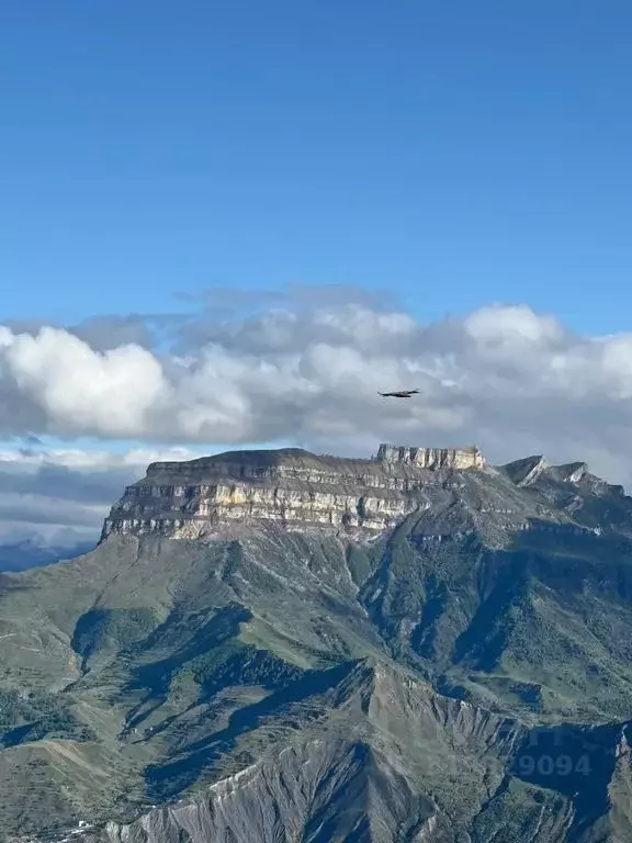 Дом в Дагестан, с. Хунзах ул. Заирбега Алиханова, 6 (100 м) - Фото 1