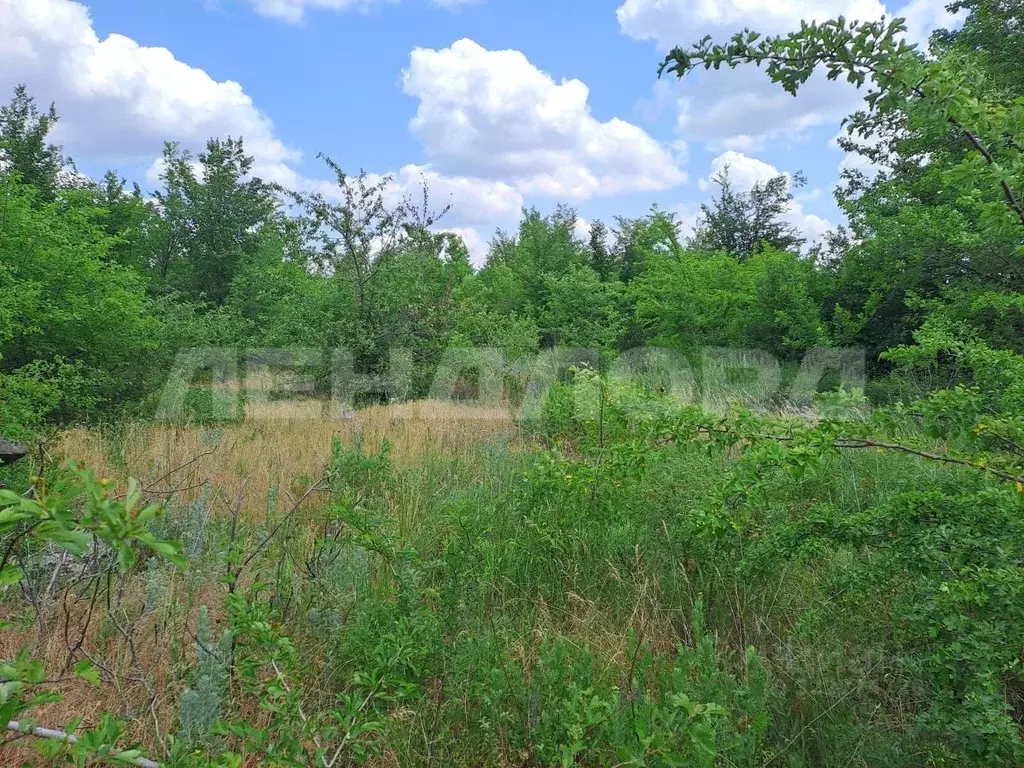 Участок в Ростовская область, Октябрьский район, пос. Персиановский, ... - Фото 2