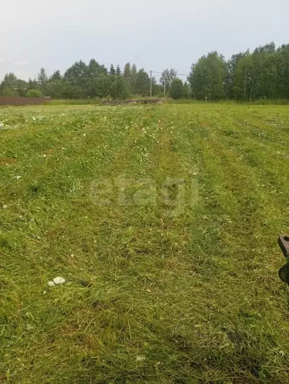 Участок в Ленинградская область, Волховский район, Усадищенское с/пос, ... - Фото 1
